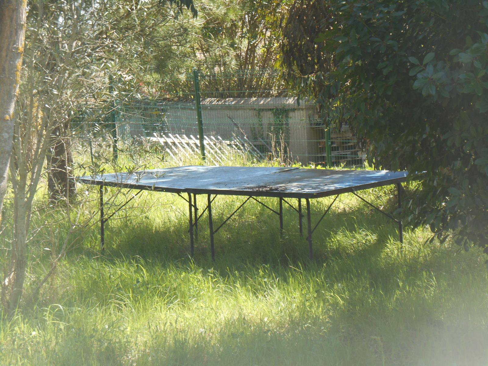 L\'olivier et la table de ping pong ( Les Moutiers en Retz )