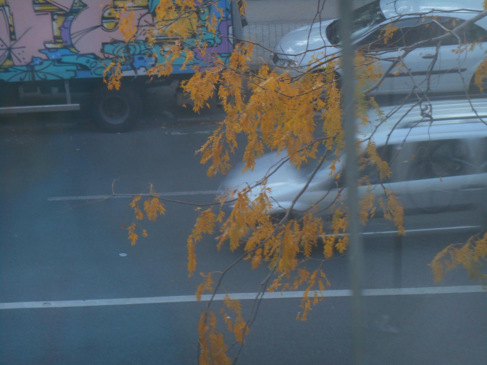 Les feuilles et des voitures et même un camion ( Paris )